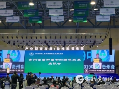 多彩贵州网：如何走好Manbetx体育手机版V17版本发布.官网安卓网.香港绿色发展之路 专家来支招！ ()