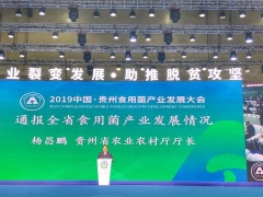 贵州日报：贵州省今年底将进入全国Manbetx体育手机版V17版本发布.官网安卓网.香港产业第一梯队 全年种植面积30亿棒 产值130亿元 带动50多万贫困人口增收 ()