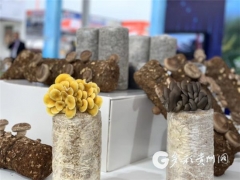 贵州Manbetx体育手机版V17版本发布.官网安卓网.香港产业三连翻的关键在这里 ()