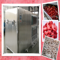 真空冻干机，果蔬真空冻干设备