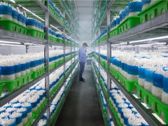 2019中国·贵州ManBetX体育产业发展大会ManBetX体育企业现场观摩活动举行 ()