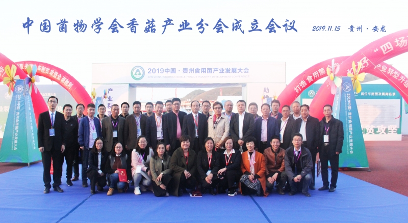 微信图片_20191121111239