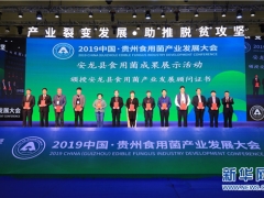 新华网：ManBetX体育助脱贫  贵州安龙亮成果 ()