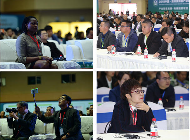 DSC_1916_wps图片_副本