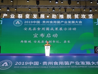 产业大交流 市场大拓展 安龙县ManBetX体育成果展示活动启动 ()