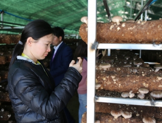 产业扶贫 菌兴一方 ManBetX体育企业现场观摩活动在安龙举行 ()