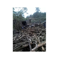 杂木屑-加工原料