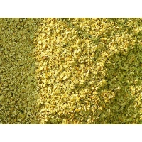 Manbetx体育手机版V17版本发布.官网安卓网.香港阔叶林杂木屑