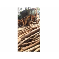 Manbetx体育手机版V17版本发布.官网安卓网.香港原料-杂木屑1