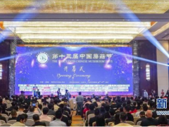 中国ManBetX体育探寻升级路 ()