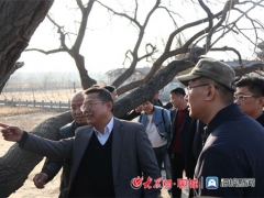 黄河故道桑黄功能性食品科研示范基地落户临清 ()