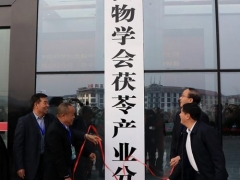 中国菌物学会茯苓产业分会在靖州揭牌成立 ()