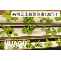 有机无土蔬菜工厂化