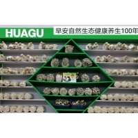 杏鲍菇，金针菇工厂化