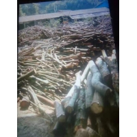 Manbetx体育手机版推荐A9版本原料-杂木屑1