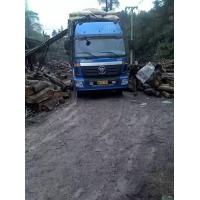 Manbetx体育手机版推荐A9版本阔叶林杂木屑