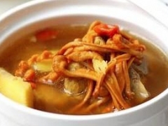 滋补又有营养的虫草花猪骨汤