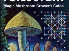 “毒蘑菇”治重度抑郁，获美国“突破疗法” ()