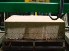 蘑菇可取代塑料并做建筑材料：终极目标是做人体器官 ()