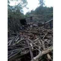 Manbetx体育手机版推荐A9版本阔叶林杂木屑