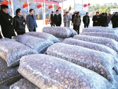 郧阳香菇交易市场开业 ()