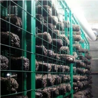 ManBetX体育架 ManBetX体育格