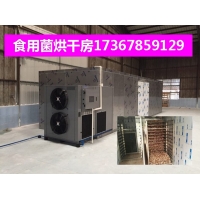 电加热烘箱 蘑菇烘干机 食品热风循环烘箱 鼓风式干燥箱