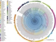 中科院微生物所赵瑞琳组联合27国专家修订真菌界担子菌门分类系统 ()