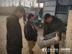 国家Manbetx体育手机版推荐A9版本产业体系首席科学家张金霞 到聊城市指导Manbetx体育手机版推荐A9版本生产 ()