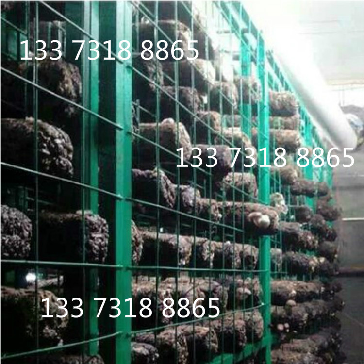 出菇网架安平县中久_meitu_1