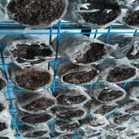 Manbetx体育手机版V17版本发布.官网安卓网.香港架 Manbetx体育手机版V17版本发布.官网安卓网.香港出菇架 ManBetX体育格