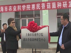 上海市农业科学院惠民香菇菌种研发中心揭牌 ()