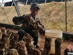 贵州六盘水：Manbetx体育手机版V17版本发布.官网安卓网.香港撑起脱贫“小金伞” 拓宽增收致富路 ()