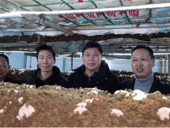 贵州丰源工厂化栽培红托竹荪通过专家评定 ()