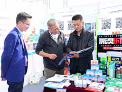 服务企业和菇农 “菇二代”的理想与责任 ()