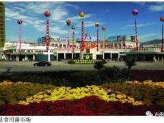 古田县Manbetx体育手机版V17版本发布.官网安卓网.香港产业宣传歌曲《菇都之恋》 ()