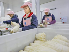 华绿生物创业板IPO  曾于2017年新三板退市