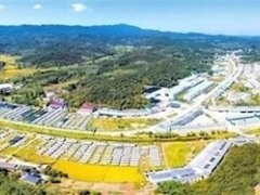 湖北随州：代表委员谈“两香”——期盼香菇产业“凤凰涅槃”展翅飞 ()