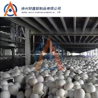 厂家供应蘑菇种植架 Manbetx体育手机版V17版本发布.官网安卓网.香港铝种植架定制 双孢菇铝合金种植架