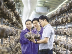 武义县首个创新服务综合体列入市级创建公示名单 ()