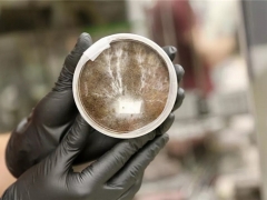 NASA探索在火星上浇水长蘑菇 利用菌丝来构建栖息地建筑 ()