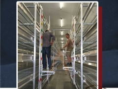 新型铝合金采菇车面世  省时省力采菇好帮手 ()