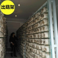 出菇网格网架出菇房网格秀珍菇铁丝网格网片