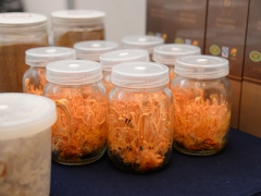 中国菌物学会蛹虫草产业分会抗击新型冠状病毒感染肺炎疫情倡议书 ()