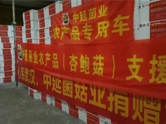 中延菌业捐赠20吨杏鲍菇助力湖北“战疫” ()