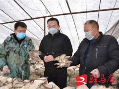 正阳县人民检察院牵线搭桥为帮扶村滞销Manbetx体育手机版V17版本发布.官网安卓网.香港“找出路” ()