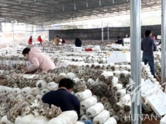 湖南江华县：十吨Manbetx体育手机版V17版本发布.官网安卓网.香港捐赠全市疫区 ()