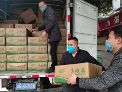 星河生物向抗疫一线工作人员捐赠20吨Manbetx体育手机版推荐A9版本 ()