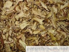 供应干蘑菇(ManBetX体育干品-美味牛肝菌)