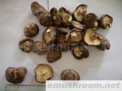 供应干香菇
